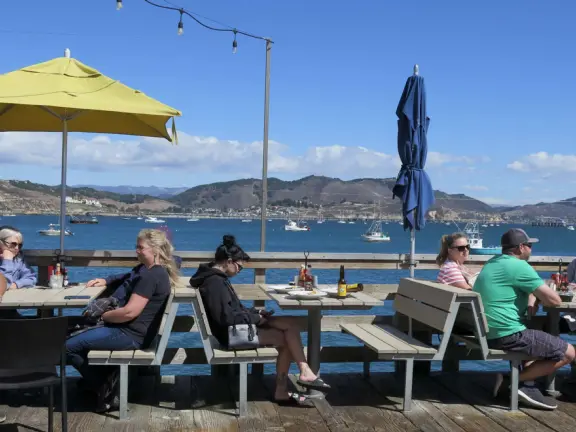 Harbor beach with hundreds of pelicans and sailboats bobbing in the water. Stunning views, seals barking on a floating dock, and outdoor cafe on Harford pier.