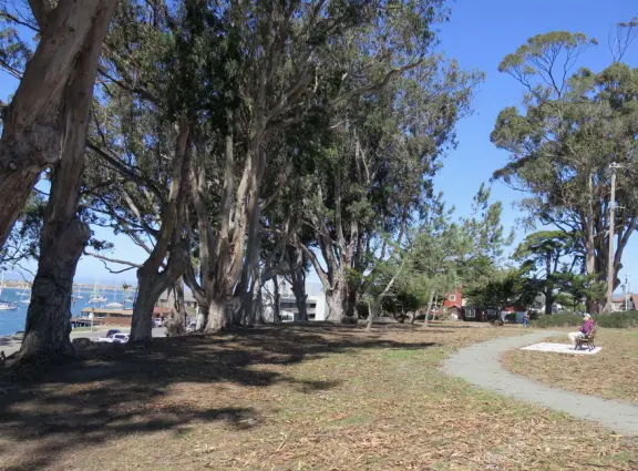 Path through Franklin Riley Park. 