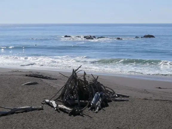 Rugged, windswept beach with large driftwood, kelp balls, and 1.5km wooden boardwalk.