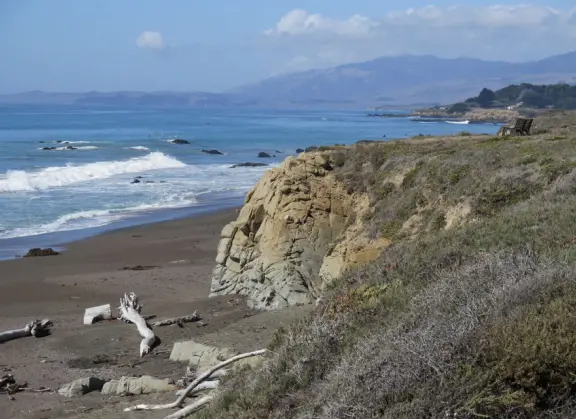 Rugged, windswept beach with large driftwood, kelp balls, and 1.5km wooden boardwalk.