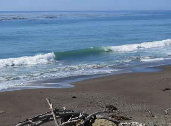 Rugged, windswept beach with large driftwood, kelp balls, and 1.5km wooden boardwalk.