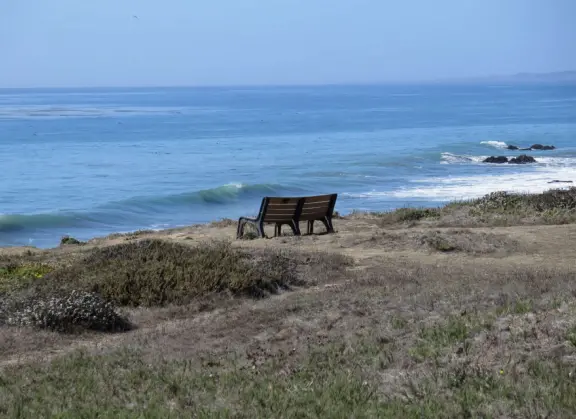Rugged, windswept beach with large driftwood, kelp balls, and 1.5km wooden boardwalk.