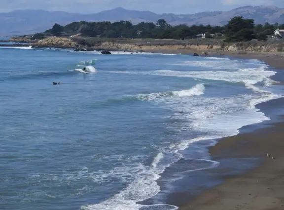 Rugged, windswept beach with large driftwood, kelp balls, and 1.5km wooden boardwalk.