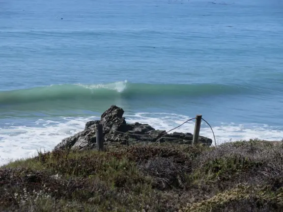 Rugged, windswept beach with large driftwood, kelp balls, and 1.5km wooden boardwalk.