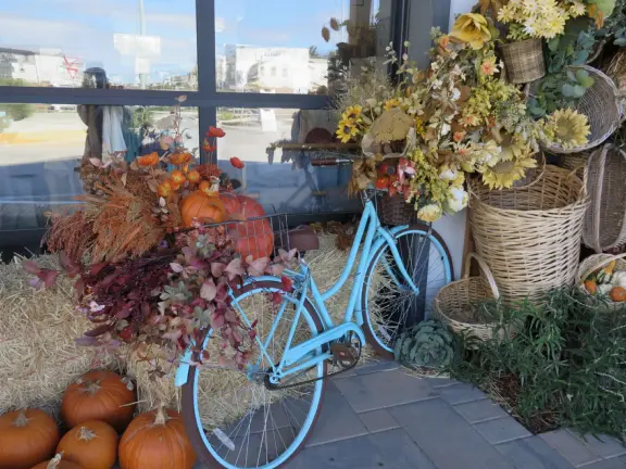 Coffee shop, food court, ice cream and pastry shops, brewery, gift shop and market, outdoor public spaces with fire pit and tables and selfie spots galore, farm with donkeys, goats, and alpaca! Also called San Luis Ranch.