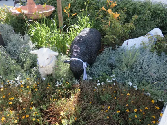 Coffee shop, food court, ice cream and pastry shops, brewery, gift shop and market, outdoor public spaces with fire pit and tables and selfie spots galore, farm with donkeys, goats, and alpaca! Also called San Luis Ranch.