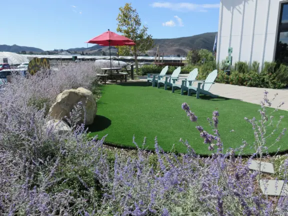 Coffee shop, food court, ice cream and pastry shops, brewery, gift shop and market, outdoor public spaces with fire pit and tables and selfie spots galore, farm with donkeys, goats, and alpaca! Also called San Luis Ranch.