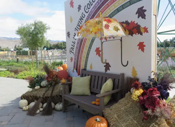 Coffee shop, food court, ice cream and pastry shops, brewery, gift shop and market, outdoor public spaces with fire pit and tables and selfie spots galore, farm with donkeys, goats, and alpaca! Also called San Luis Ranch.