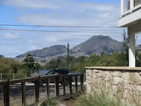 Stone wall, decorative grasses, blue lake, and mountains. I like this view! Too bad about the car noise. 