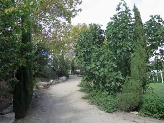 Walk the secret garden, plus admire the ranunculus flowers at the Madonna Inn entrance door in springtime, or swing, line, and ballroom dance on the fancy dance floor to live music most nights!