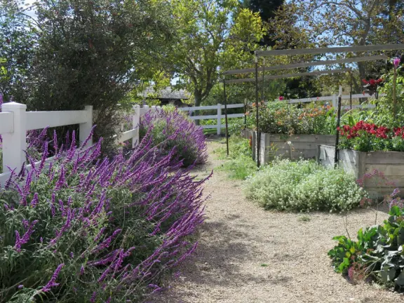 Walk the secret garden, plus admire the ranunculus flowers at the Madonna Inn entrance door in springtime, or swing, line, and ballroom dance on the fancy dance floor to live music most nights!