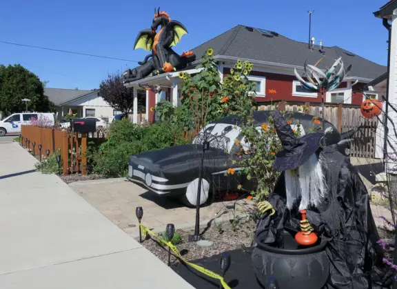 Large lush park with tall tropical trees, attractive bandstand, cute toddler playground, historic house and schoolhouse, swinging bridge to the main street, and neighborhood with cottages.