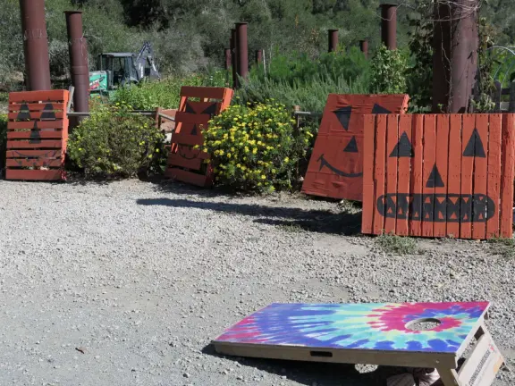 Corn hole and Halloween decorations. 