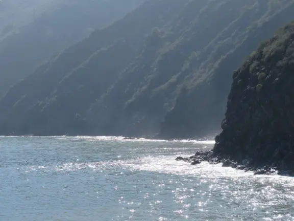 Harbor beach with hundreds of pelicans and sailboats bobbing in the water. Stunning views, seals barking on a floating dock, and outdoor cafe on Harford pier.