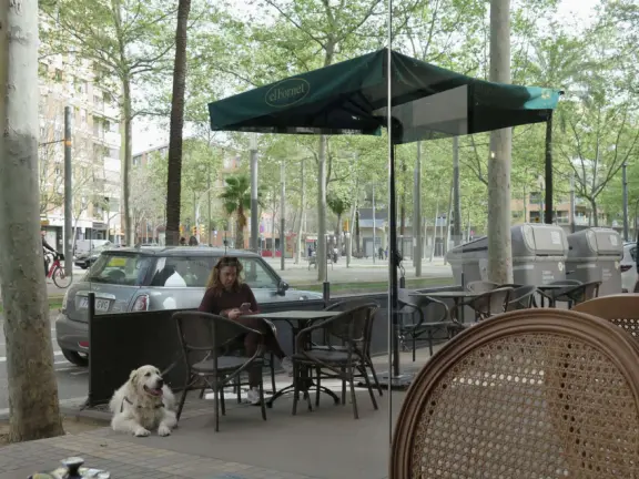 Sitting outside El Fornet Bakery under their square umbrella. 