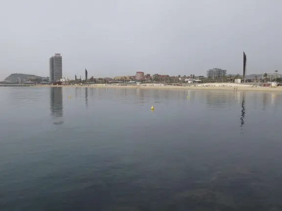 Looking toward the coastline from the jetty.