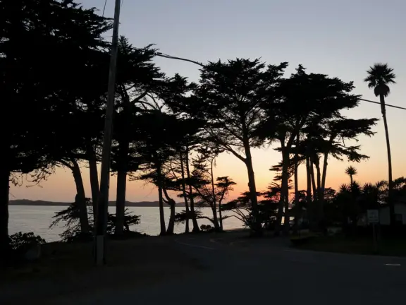 A tiny stretch of boardwalk in a beautiful setting on the estuary, with a coffee shop with a sunny patio facing the water, and cute cafes where you can relax.