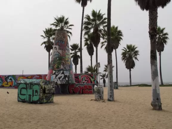 A fun, slightly sketchy walk on the wild side!