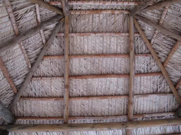 Tropical paradise with amazing trees, soft green grass, and woven huts shading picnic tables with BBQs that line the river, plus bike and kayak rentals. Beware alligators.