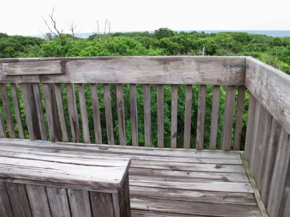 Nature center with sea life in huge tanks (you can't see inside because you are held back by railings), and boardwalk through jungle to observation tower.