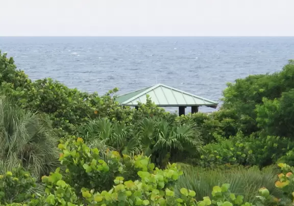 Nature center with sea life in huge tanks (you can't see inside because you are held back by railings), and boardwalk through jungle to observation tower.