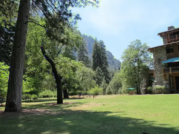 The meadow, where you can walk after you have a drink on the patio.