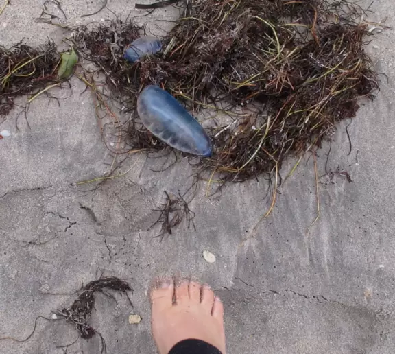 Long, narrow beach with a seawall backed by fancy hotels, a happening feel, and an oceanfront cafe.