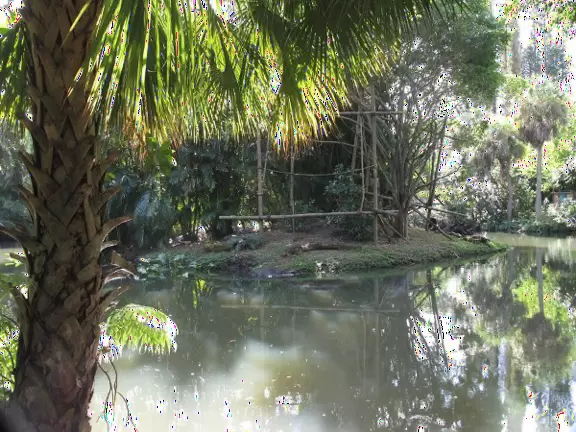 Incredibly lush and beautiful grounds, with animals in happy enclosures built around natural bodies of water.
