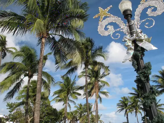 If you're looking for some excitement, head over to Ocean Drive!