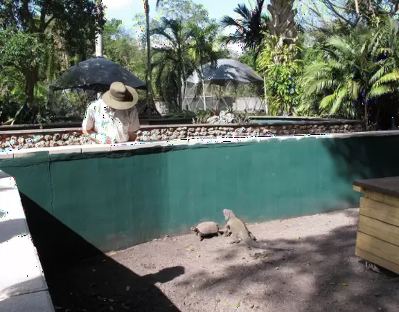 Zoo with mostly monkeys, where you walk in a cage to feed the monkeys that roam free, and you can see four short animal shows amongst gorgeous vegetation.