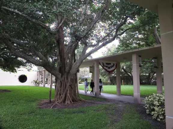 A lively, fun university with plenty to do and nice ocean breezes.