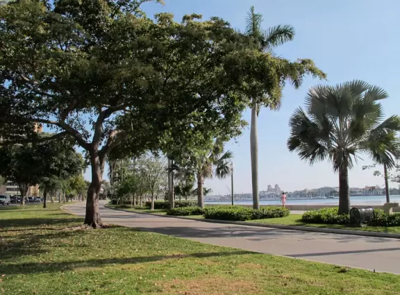 Wide walking path along the water with tropical flowers, piers, grand high rises, and palm trees- no shade though.