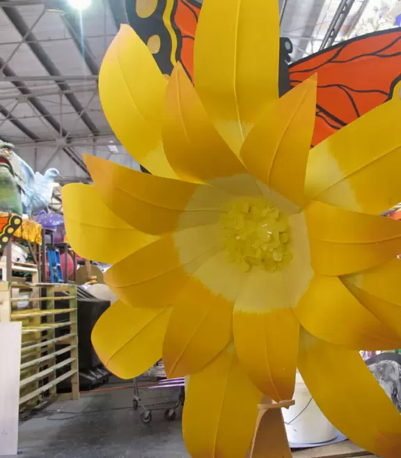 Giant flower. There are hundreds of these!