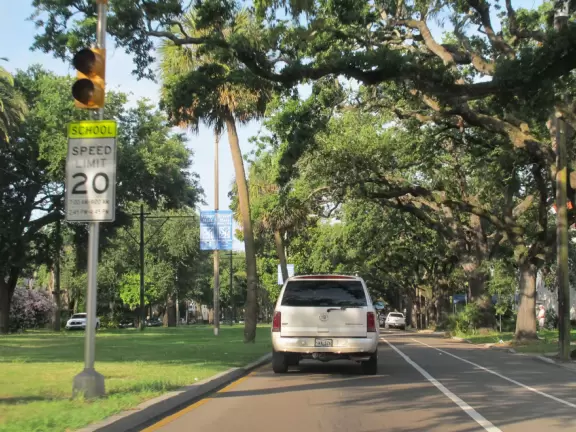 Gorgeous street under a canopy of giant oak trees with 19th c. Southern mansions and plenty of cute ethnic restaurants nearby.